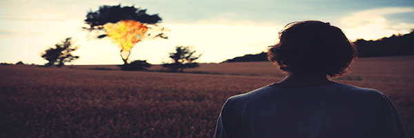 Que Le Dirias A Jesus